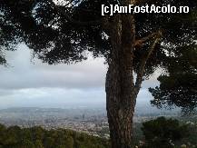 [P46] Barcelona vazuta de pe muntele Tibidabo.  » foto by albena
 - 
<span class="allrVoted glyphicon glyphicon-heart hidden" id="av469385"></span>
<a class="m-l-10 hidden" id="sv469385" onclick="voting_Foto_DelVot(,469385,1999)" role="button">șterge vot <span class="glyphicon glyphicon-remove"></span></a>
<a id="v9469385" class=" c-red"  onclick="voting_Foto_SetVot(469385)" role="button"><span class="glyphicon glyphicon-heart-empty"></span> <b>LIKE</b> = Votează poza</a> <img class="hidden"  id="f469385W9" src="/imagini/loader.gif" border="0" /><span class="AjErrMes hidden" id="e469385ErM"></span>
