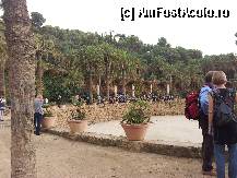[P11] Parc Guel » foto by bogdanfifa
 - 
<span class="allrVoted glyphicon glyphicon-heart hidden" id="av326655"></span>
<a class="m-l-10 hidden" id="sv326655" onclick="voting_Foto_DelVot(,326655,1999)" role="button">șterge vot <span class="glyphicon glyphicon-remove"></span></a>
<a id="v9326655" class=" c-red"  onclick="voting_Foto_SetVot(326655)" role="button"><span class="glyphicon glyphicon-heart-empty"></span> <b>LIKE</b> = Votează poza</a> <img class="hidden"  id="f326655W9" src="/imagini/loader.gif" border="0" /><span class="AjErrMes hidden" id="e326655ErM"></span>