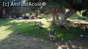 [P29] rate libere in parc ciutadella. si la zoo umbla liberi paunii » foto by adutza_ghiocel
 - 
<span class="allrVoted glyphicon glyphicon-heart hidden" id="av919556"></span>
<a class="m-l-10 hidden" id="sv919556" onclick="voting_Foto_DelVot(,919556,1999)" role="button">șterge vot <span class="glyphicon glyphicon-remove"></span></a>
<a id="v9919556" class=" c-red"  onclick="voting_Foto_SetVot(919556)" role="button"><span class="glyphicon glyphicon-heart-empty"></span> <b>LIKE</b> = Votează poza</a> <img class="hidden"  id="f919556W9" src="/imagini/loader.gif" border="0" /><span class="AjErrMes hidden" id="e919556ErM"></span>