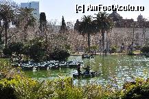 [P08] Parc de la Ciutadela - lacul cu gaste » foto by andreea_c
 - 
<span class="allrVoted glyphicon glyphicon-heart hidden" id="av330390"></span>
<a class="m-l-10 hidden" id="sv330390" onclick="voting_Foto_DelVot(,330390,1999)" role="button">șterge vot <span class="glyphicon glyphicon-remove"></span></a>
<a id="v9330390" class=" c-red"  onclick="voting_Foto_SetVot(330390)" role="button"><span class="glyphicon glyphicon-heart-empty"></span> <b>LIKE</b> = Votează poza</a> <img class="hidden"  id="f330390W9" src="/imagini/loader.gif" border="0" /><span class="AjErrMes hidden" id="e330390ErM"></span>