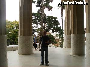 [P10] Sala celor 100 de coloane - Parcul Guell » foto by yuly68*
 - 
<span class="allrVoted glyphicon glyphicon-heart hidden" id="av387584"></span>
<a class="m-l-10 hidden" id="sv387584" onclick="voting_Foto_DelVot(,387584,1999)" role="button">șterge vot <span class="glyphicon glyphicon-remove"></span></a>
<a id="v9387584" class=" c-red"  onclick="voting_Foto_SetVot(387584)" role="button"><span class="glyphicon glyphicon-heart-empty"></span> <b>LIKE</b> = Votează poza</a> <img class="hidden"  id="f387584W9" src="/imagini/loader.gif" border="0" /><span class="AjErrMes hidden" id="e387584ErM"></span>