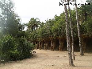 [P14] Imagini din Parcul Guell - Barcelona » foto by yuly68*
 - 
<span class="allrVoted glyphicon glyphicon-heart hidden" id="av387588"></span>
<a class="m-l-10 hidden" id="sv387588" onclick="voting_Foto_DelVot(,387588,1999)" role="button">șterge vot <span class="glyphicon glyphicon-remove"></span></a>
<a id="v9387588" class=" c-red"  onclick="voting_Foto_SetVot(387588)" role="button"><span class="glyphicon glyphicon-heart-empty"></span> <b>LIKE</b> = Votează poza</a> <img class="hidden"  id="f387588W9" src="/imagini/loader.gif" border="0" /><span class="AjErrMes hidden" id="e387588ErM"></span>