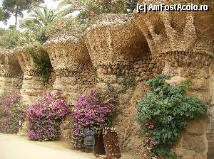 [P15] Parcul Guell - Barcelona » foto by yuly68*
 - 
<span class="allrVoted glyphicon glyphicon-heart hidden" id="av387589"></span>
<a class="m-l-10 hidden" id="sv387589" onclick="voting_Foto_DelVot(,387589,1999)" role="button">șterge vot <span class="glyphicon glyphicon-remove"></span></a>
<a id="v9387589" class=" c-red"  onclick="voting_Foto_SetVot(387589)" role="button"><span class="glyphicon glyphicon-heart-empty"></span> <b>LIKE</b> = Votează poza</a> <img class="hidden"  id="f387589W9" src="/imagini/loader.gif" border="0" /><span class="AjErrMes hidden" id="e387589ErM"></span>