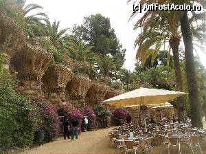 [P16] Parcul Guell - Barcelona » foto by yuly68*
 - 
<span class="allrVoted glyphicon glyphicon-heart hidden" id="av387590"></span>
<a class="m-l-10 hidden" id="sv387590" onclick="voting_Foto_DelVot(,387590,1999)" role="button">șterge vot <span class="glyphicon glyphicon-remove"></span></a>
<a id="v9387590" class=" c-red"  onclick="voting_Foto_SetVot(387590)" role="button"><span class="glyphicon glyphicon-heart-empty"></span> <b>LIKE</b> = Votează poza</a> <img class="hidden"  id="f387590W9" src="/imagini/loader.gif" border="0" /><span class="AjErrMes hidden" id="e387590ErM"></span>