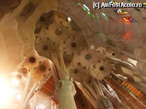[P04] Interior Sagrada Familia - Barcelona » foto by yuly68*
 - 
<span class="allrVoted glyphicon glyphicon-heart hidden" id="av387578"></span>
<a class="m-l-10 hidden" id="sv387578" onclick="voting_Foto_DelVot(,387578,1999)" role="button">șterge vot <span class="glyphicon glyphicon-remove"></span></a>
<a id="v9387578" class=" c-red"  onclick="voting_Foto_SetVot(387578)" role="button"><span class="glyphicon glyphicon-heart-empty"></span> <b>LIKE</b> = Votează poza</a> <img class="hidden"  id="f387578W9" src="/imagini/loader.gif" border="0" /><span class="AjErrMes hidden" id="e387578ErM"></span>