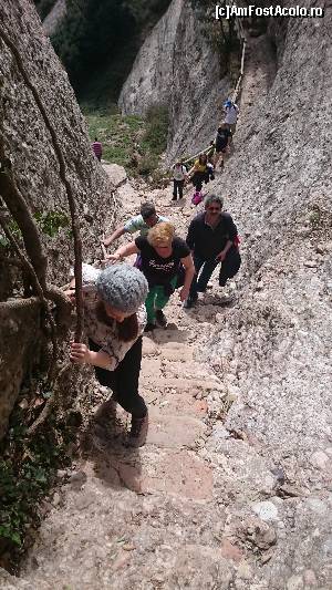 [P39] Spre Santa Magdalena, Monserrat » foto by Aurici
 - 
<span class="allrVoted glyphicon glyphicon-heart hidden" id="av611461"></span>
<a class="m-l-10 hidden" id="sv611461" onclick="voting_Foto_DelVot(,611461,1999)" role="button">șterge vot <span class="glyphicon glyphicon-remove"></span></a>
<a id="v9611461" class=" c-red"  onclick="voting_Foto_SetVot(611461)" role="button"><span class="glyphicon glyphicon-heart-empty"></span> <b>LIKE</b> = Votează poza</a> <img class="hidden"  id="f611461W9" src="/imagini/loader.gif" border="0" /><span class="AjErrMes hidden" id="e611461ErM"></span>