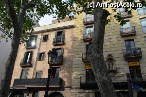[P14] Barcelona - La Rambla » foto by makuy*
 - 
<span class="allrVoted glyphicon glyphicon-heart hidden" id="av508931"></span>
<a class="m-l-10 hidden" id="sv508931" onclick="voting_Foto_DelVot(,508931,1999)" role="button">șterge vot <span class="glyphicon glyphicon-remove"></span></a>
<a id="v9508931" class=" c-red"  onclick="voting_Foto_SetVot(508931)" role="button"><span class="glyphicon glyphicon-heart-empty"></span> <b>LIKE</b> = Votează poza</a> <img class="hidden"  id="f508931W9" src="/imagini/loader.gif" border="0" /><span class="AjErrMes hidden" id="e508931ErM"></span>