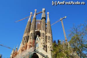 [P43] Barcelona - Sagrada Familia » foto by makuy*
 - 
<span class="allrVoted glyphicon glyphicon-heart hidden" id="av508969"></span>
<a class="m-l-10 hidden" id="sv508969" onclick="voting_Foto_DelVot(,508969,1999)" role="button">șterge vot <span class="glyphicon glyphicon-remove"></span></a>
<a id="v9508969" class=" c-red"  onclick="voting_Foto_SetVot(508969)" role="button"><span class="glyphicon glyphicon-heart-empty"></span> <b>LIKE</b> = Votează poza</a> <img class="hidden"  id="f508969W9" src="/imagini/loader.gif" border="0" /><span class="AjErrMes hidden" id="e508969ErM"></span>