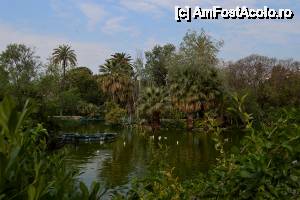 [P06] Barcelona - Parc de la Ciutadella, Lacul » foto by makuy*
 - 
<span class="allrVoted glyphicon glyphicon-heart hidden" id="av510062"></span>
<a class="m-l-10 hidden" id="sv510062" onclick="voting_Foto_DelVot(,510062,1999)" role="button">șterge vot <span class="glyphicon glyphicon-remove"></span></a>
<a id="v9510062" class=" c-red"  onclick="voting_Foto_SetVot(510062)" role="button"><span class="glyphicon glyphicon-heart-empty"></span> <b>LIKE</b> = Votează poza</a> <img class="hidden"  id="f510062W9" src="/imagini/loader.gif" border="0" /><span class="AjErrMes hidden" id="e510062ErM"></span>