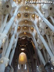 [P20] Decoratiuni tavan Sagrada Famila » foto by Cristina67
 - 
<span class="allrVoted glyphicon glyphicon-heart hidden" id="av225493"></span>
<a class="m-l-10 hidden" id="sv225493" onclick="voting_Foto_DelVot(,225493,1999)" role="button">șterge vot <span class="glyphicon glyphicon-remove"></span></a>
<a id="v9225493" class=" c-red"  onclick="voting_Foto_SetVot(225493)" role="button"><span class="glyphicon glyphicon-heart-empty"></span> <b>LIKE</b> = Votează poza</a> <img class="hidden"  id="f225493W9" src="/imagini/loader.gif" border="0" /><span class="AjErrMes hidden" id="e225493ErM"></span>