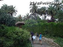 [P32] Parcul Guell » foto by Cristina67
 - 
<span class="allrVoted glyphicon glyphicon-heart hidden" id="av225505"></span>
<a class="m-l-10 hidden" id="sv225505" onclick="voting_Foto_DelVot(,225505,1999)" role="button">șterge vot <span class="glyphicon glyphicon-remove"></span></a>
<a id="v9225505" class=" c-red"  onclick="voting_Foto_SetVot(225505)" role="button"><span class="glyphicon glyphicon-heart-empty"></span> <b>LIKE</b> = Votează poza</a> <img class="hidden"  id="f225505W9" src="/imagini/loader.gif" border="0" /><span class="AjErrMes hidden" id="e225505ErM"></span>