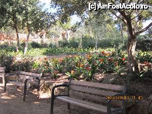 [P16] Parc Guell - un loc la umbra langa niste flori superbe » foto by cdiana
 - 
<span class="allrVoted glyphicon glyphicon-heart hidden" id="av432538"></span>
<a class="m-l-10 hidden" id="sv432538" onclick="voting_Foto_DelVot(,432538,1999)" role="button">șterge vot <span class="glyphicon glyphicon-remove"></span></a>
<a id="v9432538" class=" c-red"  onclick="voting_Foto_SetVot(432538)" role="button"><span class="glyphicon glyphicon-heart-empty"></span> <b>LIKE</b> = Votează poza</a> <img class="hidden"  id="f432538W9" src="/imagini/loader.gif" border="0" /><span class="AjErrMes hidden" id="e432538ErM"></span>
