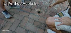 [P45] 45. Ventilație naturală medievală în acoperișul navei laterale » foto by msnd
 - 
<span class="allrVoted glyphicon glyphicon-heart hidden" id="av1462342"></span>
<a class="m-l-10 hidden" id="sv1462342" onclick="voting_Foto_DelVot(,1462342,1999)" role="button">șterge vot <span class="glyphicon glyphicon-remove"></span></a>
<a id="v91462342" class=" c-red"  onclick="voting_Foto_SetVot(1462342)" role="button"><span class="glyphicon glyphicon-heart-empty"></span> <b>LIKE</b> = Votează poza</a> <img class="hidden"  id="f1462342W9" src="/imagini/loader.gif" border="0" /><span class="AjErrMes hidden" id="e1462342ErM"></span>