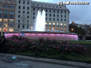 [P11]  -- <small>// FĂRĂ DESCRIERE</small> » foto by Coca Dosky
 - 
<span class="allrVoted glyphicon glyphicon-heart hidden" id="av688509"></span>
<a class="m-l-10 hidden" id="sv688509" onclick="voting_Foto_DelVot(,688509,1999)" role="button">șterge vot <span class="glyphicon glyphicon-remove"></span></a>
<a id="v9688509" class=" c-red"  onclick="voting_Foto_SetVot(688509)" role="button"><span class="glyphicon glyphicon-heart-empty"></span> <b>LIKE</b> = Votează poza</a> <img class="hidden"  id="f688509W9" src="/imagini/loader.gif" border="0" /><span class="AjErrMes hidden" id="e688509ErM"></span>