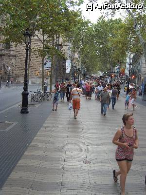 [P14] La Rambla - celebrul bulevard de promenadă » foto by Alina Roxana
 - 
<span class="allrVoted glyphicon glyphicon-heart hidden" id="av440600"></span>
<a class="m-l-10 hidden" id="sv440600" onclick="voting_Foto_DelVot(,440600,1999)" role="button">șterge vot <span class="glyphicon glyphicon-remove"></span></a>
<a id="v9440600" class=" c-red"  onclick="voting_Foto_SetVot(440600)" role="button"><span class="glyphicon glyphicon-heart-empty"></span> <b>LIKE</b> = Votează poza</a> <img class="hidden"  id="f440600W9" src="/imagini/loader.gif" border="0" /><span class="AjErrMes hidden" id="e440600ErM"></span>