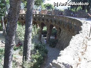 [P08] Parcul Guell » foto by Alina Roxana
 - 
<span class="allrVoted glyphicon glyphicon-heart hidden" id="av440594"></span>
<a class="m-l-10 hidden" id="sv440594" onclick="voting_Foto_DelVot(,440594,1999)" role="button">șterge vot <span class="glyphicon glyphicon-remove"></span></a>
<a id="v9440594" class=" c-red"  onclick="voting_Foto_SetVot(440594)" role="button"><span class="glyphicon glyphicon-heart-empty"></span> <b>LIKE</b> = Votează poza</a> <img class="hidden"  id="f440594W9" src="/imagini/loader.gif" border="0" /><span class="AjErrMes hidden" id="e440594ErM"></span>