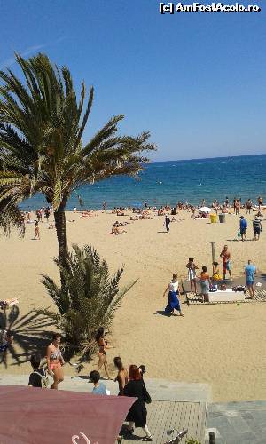 [P01] Barceloneta, plaja frumoasa si curata, plina de palmieri si de sculpturi spectaculoase » foto by roxi-nico
 - 
<span class="allrVoted glyphicon glyphicon-heart hidden" id="av635268"></span>
<a class="m-l-10 hidden" id="sv635268" onclick="voting_Foto_DelVot(,635268,1999)" role="button">șterge vot <span class="glyphicon glyphicon-remove"></span></a>
<a id="v9635268" class=" c-red"  onclick="voting_Foto_SetVot(635268)" role="button"><span class="glyphicon glyphicon-heart-empty"></span> <b>LIKE</b> = Votează poza</a> <img class="hidden"  id="f635268W9" src="/imagini/loader.gif" border="0" /><span class="AjErrMes hidden" id="e635268ErM"></span>