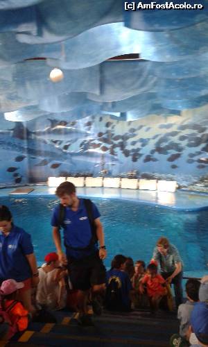 [P10] Zoo Barcelona, spectacolul cu delfini » foto by roxi-nico
 - 
<span class="allrVoted glyphicon glyphicon-heart hidden" id="av635278"></span>
<a class="m-l-10 hidden" id="sv635278" onclick="voting_Foto_DelVot(,635278,1999)" role="button">șterge vot <span class="glyphicon glyphicon-remove"></span></a>
<a id="v9635278" class=" c-red"  onclick="voting_Foto_SetVot(635278)" role="button"><span class="glyphicon glyphicon-heart-empty"></span> <b>LIKE</b> = Votează poza</a> <img class="hidden"  id="f635278W9" src="/imagini/loader.gif" border="0" /><span class="AjErrMes hidden" id="e635278ErM"></span>