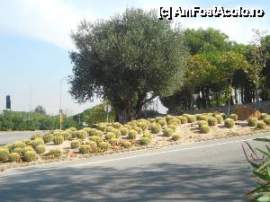 [P13] in drum spre Montjuic nu ai cum sa nu te opresti si sa apreciezi grija catalanilor pentru orice colt intretinut cu bun gust » foto by steaua_mady
 - 
<span class="allrVoted glyphicon glyphicon-heart hidden" id="av478543"></span>
<a class="m-l-10 hidden" id="sv478543" onclick="voting_Foto_DelVot(,478543,1999)" role="button">șterge vot <span class="glyphicon glyphicon-remove"></span></a>
<a id="v9478543" class=" c-red"  onclick="voting_Foto_SetVot(478543)" role="button"><span class="glyphicon glyphicon-heart-empty"></span> <b>LIKE</b> = Votează poza</a> <img class="hidden"  id="f478543W9" src="/imagini/loader.gif" border="0" /><span class="AjErrMes hidden" id="e478543ErM"></span>