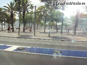[P15] Faleza din Barceloneta » foto by Carmen Ion
 - 
<span class="allrVoted glyphicon glyphicon-heart hidden" id="av531496"></span>
<a class="m-l-10 hidden" id="sv531496" onclick="voting_Foto_DelVot(,531496,1999)" role="button">șterge vot <span class="glyphicon glyphicon-remove"></span></a>
<a id="v9531496" class=" c-red"  onclick="voting_Foto_SetVot(531496)" role="button"><span class="glyphicon glyphicon-heart-empty"></span> <b>LIKE</b> = Votează poza</a> <img class="hidden"  id="f531496W9" src="/imagini/loader.gif" border="0" /><span class="AjErrMes hidden" id="e531496ErM"></span>