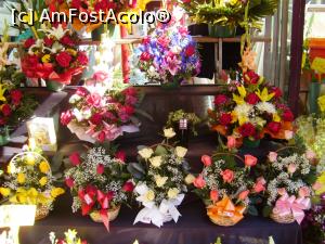 [P06] veselia si stralucirea florilor » foto by NAZARICA
 - 
<span class="allrVoted glyphicon glyphicon-heart hidden" id="av794004"></span>
<a class="m-l-10 hidden" id="sv794004" onclick="voting_Foto_DelVot(,794004,1999)" role="button">șterge vot <span class="glyphicon glyphicon-remove"></span></a>
<a id="v9794004" class=" c-red"  onclick="voting_Foto_SetVot(794004)" role="button"><span class="glyphicon glyphicon-heart-empty"></span> <b>LIKE</b> = Votează poza</a> <img class="hidden"  id="f794004W9" src="/imagini/loader.gif" border="0" /><span class="AjErrMes hidden" id="e794004ErM"></span>