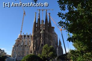 [P12] Sagrada Família » foto by paulcta
 - 
<span class="allrVoted glyphicon glyphicon-heart hidden" id="av817010"></span>
<a class="m-l-10 hidden" id="sv817010" onclick="voting_Foto_DelVot(,817010,1999)" role="button">șterge vot <span class="glyphicon glyphicon-remove"></span></a>
<a id="v9817010" class=" c-red"  onclick="voting_Foto_SetVot(817010)" role="button"><span class="glyphicon glyphicon-heart-empty"></span> <b>LIKE</b> = Votează poza</a> <img class="hidden"  id="f817010W9" src="/imagini/loader.gif" border="0" /><span class="AjErrMes hidden" id="e817010ErM"></span>