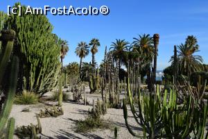 [P24] Gradina de cactusi - Jardins de Mossèn Costa i Llobera » foto by paulcta
 - 
<span class="allrVoted glyphicon glyphicon-heart hidden" id="av817022"></span>
<a class="m-l-10 hidden" id="sv817022" onclick="voting_Foto_DelVot(,817022,1999)" role="button">șterge vot <span class="glyphicon glyphicon-remove"></span></a>
<a id="v9817022" class=" c-red"  onclick="voting_Foto_SetVot(817022)" role="button"><span class="glyphicon glyphicon-heart-empty"></span> <b>LIKE</b> = Votează poza</a> <img class="hidden"  id="f817022W9" src="/imagini/loader.gif" border="0" /><span class="AjErrMes hidden" id="e817022ErM"></span>