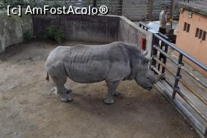 [P31] Zoo Barcelona » foto by paulcta
 - 
<span class="allrVoted glyphicon glyphicon-heart hidden" id="av817029"></span>
<a class="m-l-10 hidden" id="sv817029" onclick="voting_Foto_DelVot(,817029,1999)" role="button">șterge vot <span class="glyphicon glyphicon-remove"></span></a>
<a id="v9817029" class=" c-red"  onclick="voting_Foto_SetVot(817029)" role="button"><span class="glyphicon glyphicon-heart-empty"></span> <b>LIKE</b> = Votează poza</a> <img class="hidden"  id="f817029W9" src="/imagini/loader.gif" border="0" /><span class="AjErrMes hidden" id="e817029ErM"></span>