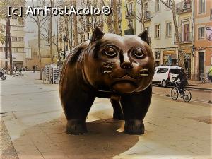 [P01] El Gato, situata pe o strada paralele cu vestita la Rambla, Cica i se fura mustatile, din cand in cand.  » foto by cristina47*
 - 
<span class="allrVoted glyphicon glyphicon-heart hidden" id="av884085"></span>
<a class="m-l-10 hidden" id="sv884085" onclick="voting_Foto_DelVot(,884085,1999)" role="button">șterge vot <span class="glyphicon glyphicon-remove"></span></a>
<a id="v9884085" class=" c-red"  onclick="voting_Foto_SetVot(884085)" role="button"><span class="glyphicon glyphicon-heart-empty"></span> <b>LIKE</b> = Votează poza</a> <img class="hidden"  id="f884085W9" src="/imagini/loader.gif" border="0" /><span class="AjErrMes hidden" id="e884085ErM"></span>