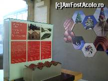 [P04] O imagine din muzeul aflat in interior, despre inspiratia lui Gaudi din natura inconjuratoare » foto by corinka
 - 
<span class="allrVoted glyphicon glyphicon-heart hidden" id="av461298"></span>
<a class="m-l-10 hidden" id="sv461298" onclick="voting_Foto_DelVot(,461298,1999)" role="button">șterge vot <span class="glyphicon glyphicon-remove"></span></a>
<a id="v9461298" class=" c-red"  onclick="voting_Foto_SetVot(461298)" role="button"><span class="glyphicon glyphicon-heart-empty"></span> <b>LIKE</b> = Votează poza</a> <img class="hidden"  id="f461298W9" src="/imagini/loader.gif" border="0" /><span class="AjErrMes hidden" id="e461298ErM"></span>