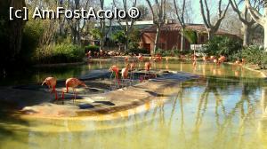 [P19] Zoo Barcelona - Parc de la Ciudadella » foto by alina1104
 - 
<span class="allrVoted glyphicon glyphicon-heart hidden" id="av716267"></span>
<a class="m-l-10 hidden" id="sv716267" onclick="voting_Foto_DelVot(,716267,1999)" role="button">șterge vot <span class="glyphicon glyphicon-remove"></span></a>
<a id="v9716267" class=" c-red"  onclick="voting_Foto_SetVot(716267)" role="button"><span class="glyphicon glyphicon-heart-empty"></span> <b>LIKE</b> = Votează poza</a> <img class="hidden"  id="f716267W9" src="/imagini/loader.gif" border="0" /><span class="AjErrMes hidden" id="e716267ErM"></span>