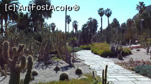 [P04] Gradinile de cactusi de pe Montjuic » foto by alina1104
 - 
<span class="allrVoted glyphicon glyphicon-heart hidden" id="av716252"></span>
<a class="m-l-10 hidden" id="sv716252" onclick="voting_Foto_DelVot(,716252,1999)" role="button">șterge vot <span class="glyphicon glyphicon-remove"></span></a>
<a id="v9716252" class=" c-red"  onclick="voting_Foto_SetVot(716252)" role="button"><span class="glyphicon glyphicon-heart-empty"></span> <b>LIKE</b> = Votează poza</a> <img class="hidden"  id="f716252W9" src="/imagini/loader.gif" border="0" /><span class="AjErrMes hidden" id="e716252ErM"></span>
