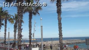 [P01] Barceloneta, promenada.  » foto by alinafulg
 - 
<span class="allrVoted glyphicon glyphicon-heart hidden" id="av733528"></span>
<a class="m-l-10 hidden" id="sv733528" onclick="voting_Foto_DelVot(,733528,1999)" role="button">șterge vot <span class="glyphicon glyphicon-remove"></span></a>
<a id="v9733528" class=" c-red"  onclick="voting_Foto_SetVot(733528)" role="button"><span class="glyphicon glyphicon-heart-empty"></span> <b>LIKE</b> = Votează poza</a> <img class="hidden"  id="f733528W9" src="/imagini/loader.gif" border="0" /><span class="AjErrMes hidden" id="e733528ErM"></span>
