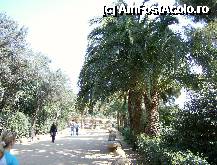 [P03] P03-Parcul Guell » foto by dorgo
 - 
<span class="allrVoted glyphicon glyphicon-heart hidden" id="av282318"></span>
<a class="m-l-10 hidden" id="sv282318" onclick="voting_Foto_DelVot(,282318,1999)" role="button">șterge vot <span class="glyphicon glyphicon-remove"></span></a>
<a id="v9282318" class=" c-red"  onclick="voting_Foto_SetVot(282318)" role="button"><span class="glyphicon glyphicon-heart-empty"></span> <b>LIKE</b> = Votează poza</a> <img class="hidden"  id="f282318W9" src="/imagini/loader.gif" border="0" /><span class="AjErrMes hidden" id="e282318ErM"></span>