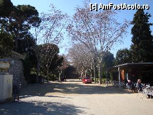[P47] Barcelona: parcul din jurul Palatului Național » foto by mariana.olaru
 - 
<span class="allrVoted glyphicon glyphicon-heart hidden" id="av380188"></span>
<a class="m-l-10 hidden" id="sv380188" onclick="voting_Foto_DelVot(,380188,1999)" role="button">șterge vot <span class="glyphicon glyphicon-remove"></span></a>
<a id="v9380188" class=" c-red"  onclick="voting_Foto_SetVot(380188)" role="button"><span class="glyphicon glyphicon-heart-empty"></span> <b>LIKE</b> = Votează poza</a> <img class="hidden"  id="f380188W9" src="/imagini/loader.gif" border="0" /><span class="AjErrMes hidden" id="e380188ErM"></span>