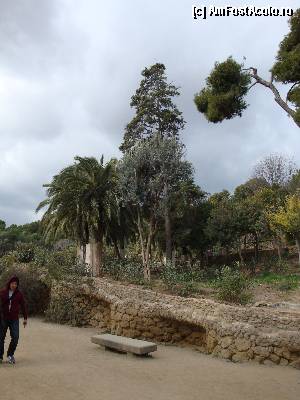 [P12] Barcelona, decor simplu în Parc Güell » foto by mariana.olaru
 - 
<span class="allrVoted glyphicon glyphicon-heart hidden" id="av388224"></span>
<a class="m-l-10 hidden" id="sv388224" onclick="voting_Foto_DelVot(,388224,1999)" role="button">șterge vot <span class="glyphicon glyphicon-remove"></span></a>
<a id="v9388224" class=" c-red"  onclick="voting_Foto_SetVot(388224)" role="button"><span class="glyphicon glyphicon-heart-empty"></span> <b>LIKE</b> = Votează poza</a> <img class="hidden"  id="f388224W9" src="/imagini/loader.gif" border="0" /><span class="AjErrMes hidden" id="e388224ErM"></span>