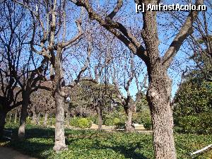 [P139] Barcelona, Jardins del Pedralbes Palau Royal » foto by mariana.olaru
 - 
<span class="allrVoted glyphicon glyphicon-heart hidden" id="av388429"></span>
<a class="m-l-10 hidden" id="sv388429" onclick="voting_Foto_DelVot(,388429,1999)" role="button">șterge vot <span class="glyphicon glyphicon-remove"></span></a>
<a id="v9388429" class=" c-red"  onclick="voting_Foto_SetVot(388429)" role="button"><span class="glyphicon glyphicon-heart-empty"></span> <b>LIKE</b> = Votează poza</a> <img class="hidden"  id="f388429W9" src="/imagini/loader.gif" border="0" /><span class="AjErrMes hidden" id="e388429ErM"></span>