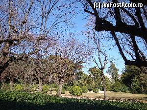 [P141] Barcelona, Jardins del Pedralbes Palau Royal » foto by mariana.olaru
 - 
<span class="allrVoted glyphicon glyphicon-heart hidden" id="av388431"></span>
<a class="m-l-10 hidden" id="sv388431" onclick="voting_Foto_DelVot(,388431,1999)" role="button">șterge vot <span class="glyphicon glyphicon-remove"></span></a>
<a id="v9388431" class=" c-red"  onclick="voting_Foto_SetVot(388431)" role="button"><span class="glyphicon glyphicon-heart-empty"></span> <b>LIKE</b> = Votează poza</a> <img class="hidden"  id="f388431W9" src="/imagini/loader.gif" border="0" /><span class="AjErrMes hidden" id="e388431ErM"></span>