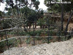 [P04] Barcelona, Parcul Güell » foto by mariana.olaru
 - 
<span class="allrVoted glyphicon glyphicon-heart hidden" id="av388216"></span>
<a class="m-l-10 hidden" id="sv388216" onclick="voting_Foto_DelVot(,388216,1999)" role="button">șterge vot <span class="glyphicon glyphicon-remove"></span></a>
<a id="v9388216" class=" c-red"  onclick="voting_Foto_SetVot(388216)" role="button"><span class="glyphicon glyphicon-heart-empty"></span> <b>LIKE</b> = Votează poza</a> <img class="hidden"  id="f388216W9" src="/imagini/loader.gif" border="0" /><span class="AjErrMes hidden" id="e388216ErM"></span>
