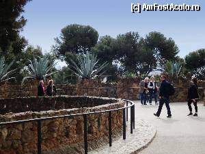 [P08] Barcelona, Parcul Güell » foto by mariana.olaru
 - 
<span class="allrVoted glyphicon glyphicon-heart hidden" id="av388220"></span>
<a class="m-l-10 hidden" id="sv388220" onclick="voting_Foto_DelVot(,388220,1999)" role="button">șterge vot <span class="glyphicon glyphicon-remove"></span></a>
<a id="v9388220" class=" c-red"  onclick="voting_Foto_SetVot(388220)" role="button"><span class="glyphicon glyphicon-heart-empty"></span> <b>LIKE</b> = Votează poza</a> <img class="hidden"  id="f388220W9" src="/imagini/loader.gif" border="0" /><span class="AjErrMes hidden" id="e388220ErM"></span>