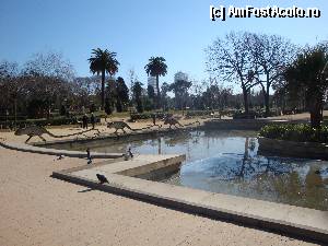 [P81] Barcelona, Parc de la Ciutadella: bazinul din fața Muzeului de Zoologie » foto by mariana.olaru
 - 
<span class="allrVoted glyphicon glyphicon-heart hidden" id="av388359"></span>
<a class="m-l-10 hidden" id="sv388359" onclick="voting_Foto_DelVot(,388359,1999)" role="button">șterge vot <span class="glyphicon glyphicon-remove"></span></a>
<a id="v9388359" class=" c-red"  onclick="voting_Foto_SetVot(388359)" role="button"><span class="glyphicon glyphicon-heart-empty"></span> <b>LIKE</b> = Votează poza</a> <img class="hidden"  id="f388359W9" src="/imagini/loader.gif" border="0" /><span class="AjErrMes hidden" id="e388359ErM"></span>