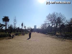 [P82] Barcelona, Parc de la Ciutadella: aleea principală, Passeig del Til. lers » foto by mariana.olaru
 - 
<span class="allrVoted glyphicon glyphicon-heart hidden" id="av388360"></span>
<a class="m-l-10 hidden" id="sv388360" onclick="voting_Foto_DelVot(,388360,1999)" role="button">șterge vot <span class="glyphicon glyphicon-remove"></span></a>
<a id="v9388360" class=" c-red"  onclick="voting_Foto_SetVot(388360)" role="button"><span class="glyphicon glyphicon-heart-empty"></span> <b>LIKE</b> = Votează poza</a> <img class="hidden"  id="f388360W9" src="/imagini/loader.gif" border="0" /><span class="AjErrMes hidden" id="e388360ErM"></span>