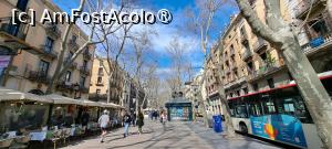[P19] La pas pe La Rambla » foto by irinad
 - 
<span class="allrVoted glyphicon glyphicon-heart hidden" id="av1409713"></span>
<a class="m-l-10 hidden" id="sv1409713" onclick="voting_Foto_DelVot(,1409713,1999)" role="button">șterge vot <span class="glyphicon glyphicon-remove"></span></a>
<a id="v91409713" class=" c-red"  onclick="voting_Foto_SetVot(1409713)" role="button"><span class="glyphicon glyphicon-heart-empty"></span> <b>LIKE</b> = Votează poza</a> <img class="hidden"  id="f1409713W9" src="/imagini/loader.gif" border="0" /><span class="AjErrMes hidden" id="e1409713ErM"></span>