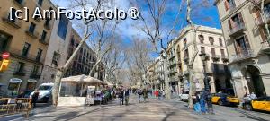 [P25] La pas pe La Rambla » foto by irinad
 - 
<span class="allrVoted glyphicon glyphicon-heart hidden" id="av1409719"></span>
<a class="m-l-10 hidden" id="sv1409719" onclick="voting_Foto_DelVot(,1409719,1999)" role="button">șterge vot <span class="glyphicon glyphicon-remove"></span></a>
<a id="v91409719" class=" c-red"  onclick="voting_Foto_SetVot(1409719)" role="button"><span class="glyphicon glyphicon-heart-empty"></span> <b>LIKE</b> = Votează poza</a> <img class="hidden"  id="f1409719W9" src="/imagini/loader.gif" border="0" /><span class="AjErrMes hidden" id="e1409719ErM"></span>