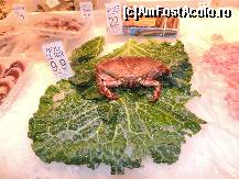 [P17] Mercat de concepcion langa hotel » foto by claudiu 71
 - 
<span class="allrVoted glyphicon glyphicon-heart hidden" id="av411564"></span>
<a class="m-l-10 hidden" id="sv411564" onclick="voting_Foto_DelVot(,411564,1999)" role="button">șterge vot <span class="glyphicon glyphicon-remove"></span></a>
<a id="v9411564" class=" c-red"  onclick="voting_Foto_SetVot(411564)" role="button"><span class="glyphicon glyphicon-heart-empty"></span> <b>LIKE</b> = Votează poza</a> <img class="hidden"  id="f411564W9" src="/imagini/loader.gif" border="0" /><span class="AjErrMes hidden" id="e411564ErM"></span>