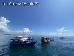 [P08] Așteptând apariția delfinilor » foto by Mihaela Pitigoi
 - 
<span class="allrVoted glyphicon glyphicon-heart hidden" id="av1522580"></span>
<a class="m-l-10 hidden" id="sv1522580" onclick="voting_Foto_DelVot(,1522580,2009)" role="button">șterge vot <span class="glyphicon glyphicon-remove"></span></a>
<a id="v91522580" class=" c-red"  onclick="voting_Foto_SetVot(1522580)" role="button"><span class="glyphicon glyphicon-heart-empty"></span> <b>LIKE</b> = Votează poza</a> <img class="hidden"  id="f1522580W9" src="/imagini/loader.gif" border="0" /><span class="AjErrMes hidden" id="e1522580ErM"></span>