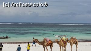 [P12] Diani Beach » foto by robert
 - 
<span class="allrVoted glyphicon glyphicon-heart hidden" id="av1247043"></span>
<a class="m-l-10 hidden" id="sv1247043" onclick="voting_Foto_DelVot(,1247043,2009)" role="button">șterge vot <span class="glyphicon glyphicon-remove"></span></a>
<a id="v91247043" class=" c-red"  onclick="voting_Foto_SetVot(1247043)" role="button"><span class="glyphicon glyphicon-heart-empty"></span> <b>LIKE</b> = Votează poza</a> <img class="hidden"  id="f1247043W9" src="/imagini/loader.gif" border="0" /><span class="AjErrMes hidden" id="e1247043ErM"></span>