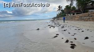 [P02] Diani Beach » foto by robert
 - 
<span class="allrVoted glyphicon glyphicon-heart hidden" id="av1247033"></span>
<a class="m-l-10 hidden" id="sv1247033" onclick="voting_Foto_DelVot(,1247033,2009)" role="button">șterge vot <span class="glyphicon glyphicon-remove"></span></a>
<a id="v91247033" class=" c-red"  onclick="voting_Foto_SetVot(1247033)" role="button"><span class="glyphicon glyphicon-heart-empty"></span> <b>LIKE</b> = Votează poza</a> <img class="hidden"  id="f1247033W9" src="/imagini/loader.gif" border="0" /><span class="AjErrMes hidden" id="e1247033ErM"></span>