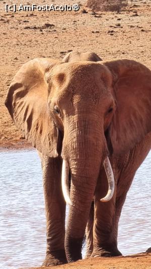 [P63] un elefant se legăna.... » foto by robert
 - 
<span class="allrVoted glyphicon glyphicon-heart hidden" id="av1249455"></span>
<a class="m-l-10 hidden" id="sv1249455" onclick="voting_Foto_DelVot(,1249455,2009)" role="button">șterge vot <span class="glyphicon glyphicon-remove"></span></a>
<a id="v91249455" class=" c-red"  onclick="voting_Foto_SetVot(1249455)" role="button"><span class="glyphicon glyphicon-heart-empty"></span> <b>LIKE</b> = Votează poza</a> <img class="hidden"  id="f1249455W9" src="/imagini/loader.gif" border="0" /><span class="AjErrMes hidden" id="e1249455ErM"></span>