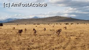[P15] frumos e in savana » foto by robert
 - 
<span class="allrVoted glyphicon glyphicon-heart hidden" id="av1252765"></span>
<a class="m-l-10 hidden" id="sv1252765" onclick="voting_Foto_DelVot(,1252765,2009)" role="button">șterge vot <span class="glyphicon glyphicon-remove"></span></a>
<a id="v91252765" class=" c-red"  onclick="voting_Foto_SetVot(1252765)" role="button"><span class="glyphicon glyphicon-heart-empty"></span> <b>LIKE</b> = Votează poza</a> <img class="hidden"  id="f1252765W9" src="/imagini/loader.gif" border="0" /><span class="AjErrMes hidden" id="e1252765ErM"></span>